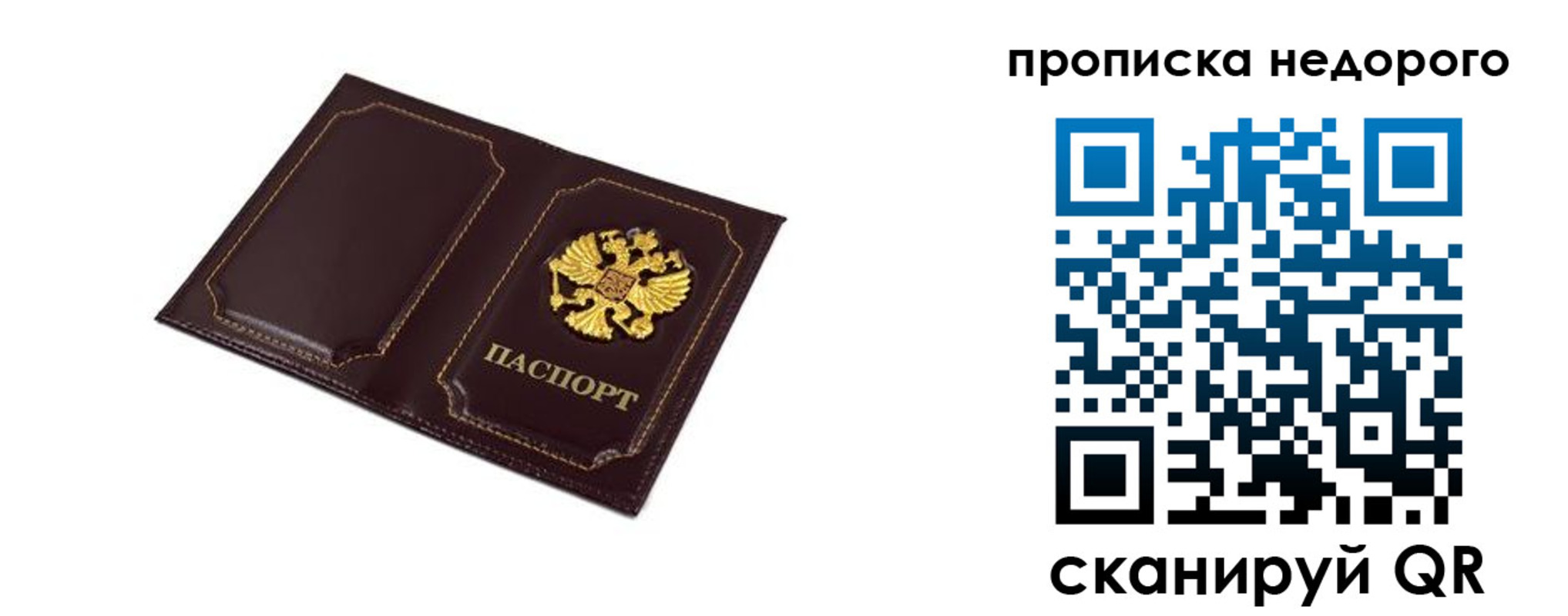 пропишу в квартире в Кудрово
